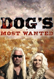Dog’s Most Wanted